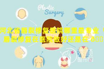 河北省唇裂修复医院哪里最专业「唇裂修复在医院做好还是在 🕸 整形医院好」